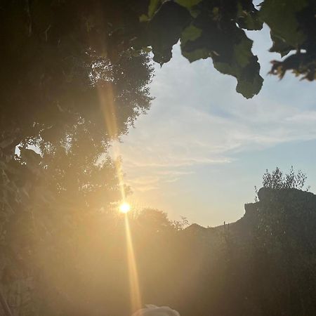 Bujtina Lugina E Vjoses Villa Përmet Kültér fotó